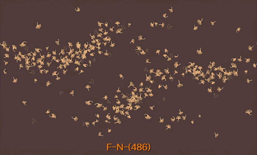 F-N-(486)